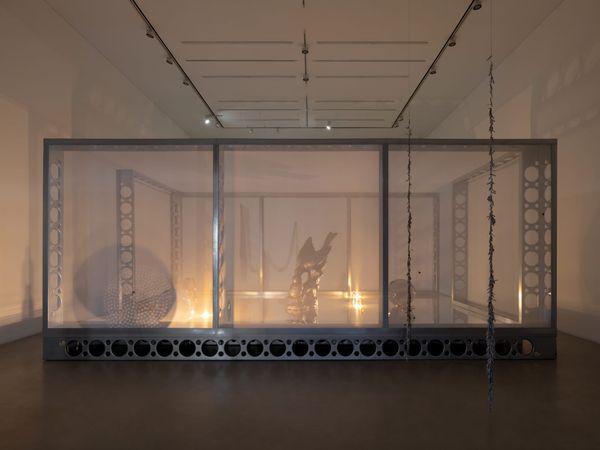 Up Close: Lotus L. Kang