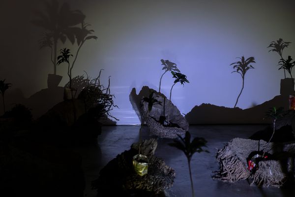 The Coconut Knows: Martha Atienza at Silverlens