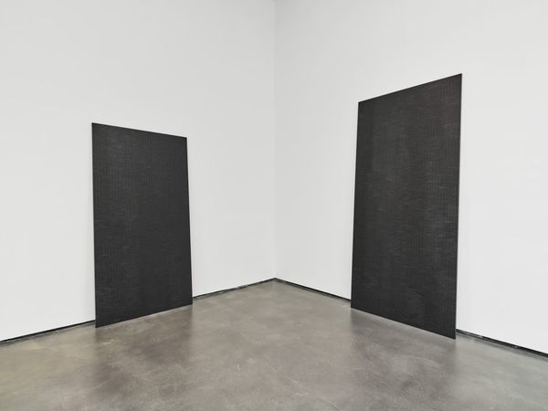 Maria Taniguchi: An Art of Reiteration