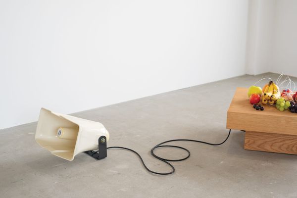 Yuko Mohri: Electric Smelly Orchestra