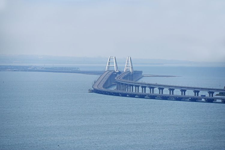 Trump's Dead Cat Deal