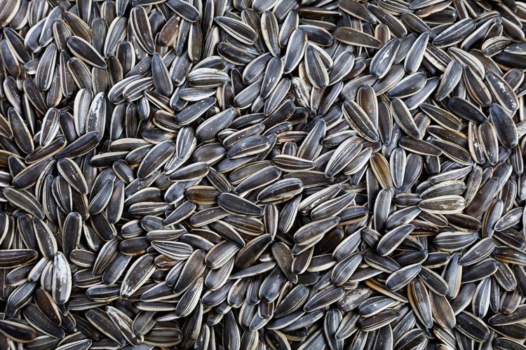 Four years of horrors which must never be normalised