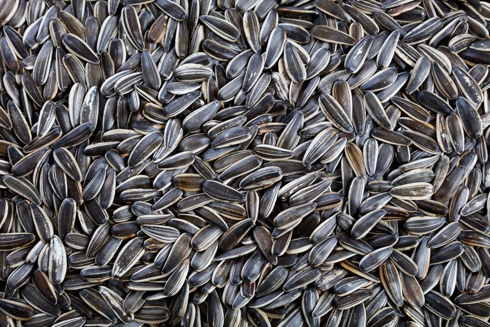 Four years of horrors which must never be normalised