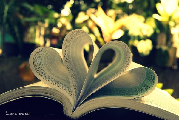 The Love Mindset: Why Self Love Can Turn Your Inner Enemy Into A Lifelong Friend