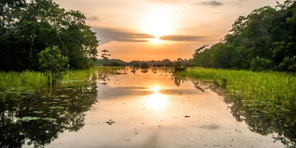 From College Dropout to Shaman Apprentice: A Story of Becoming a Leader of the Secoya and Protecting the Vanishing Amazon