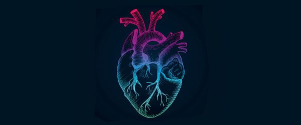 empathy paul bloom peter singer effective altruism the life you can save rational compassion