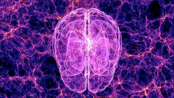 accelerated learning highexistence dialogues