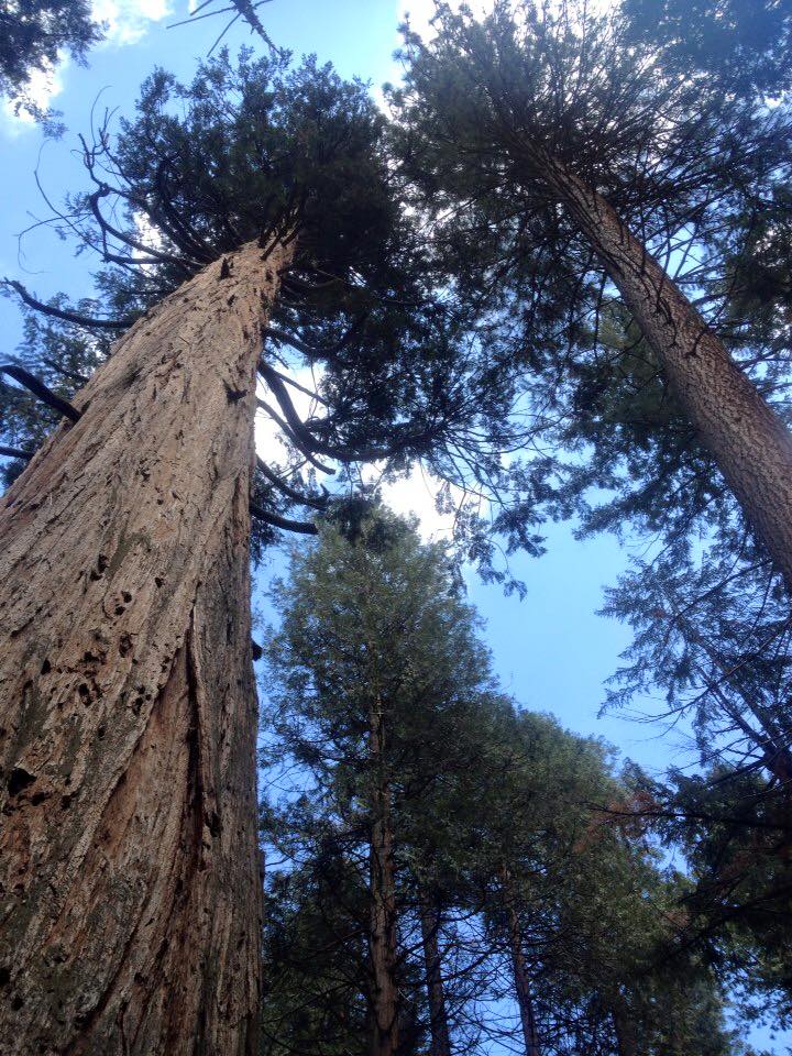 11425242_10152860901010824_4990578658819901442_n