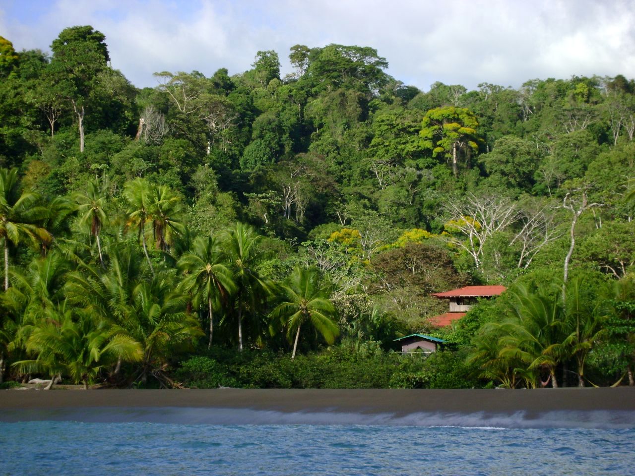 songs algorithm spirit