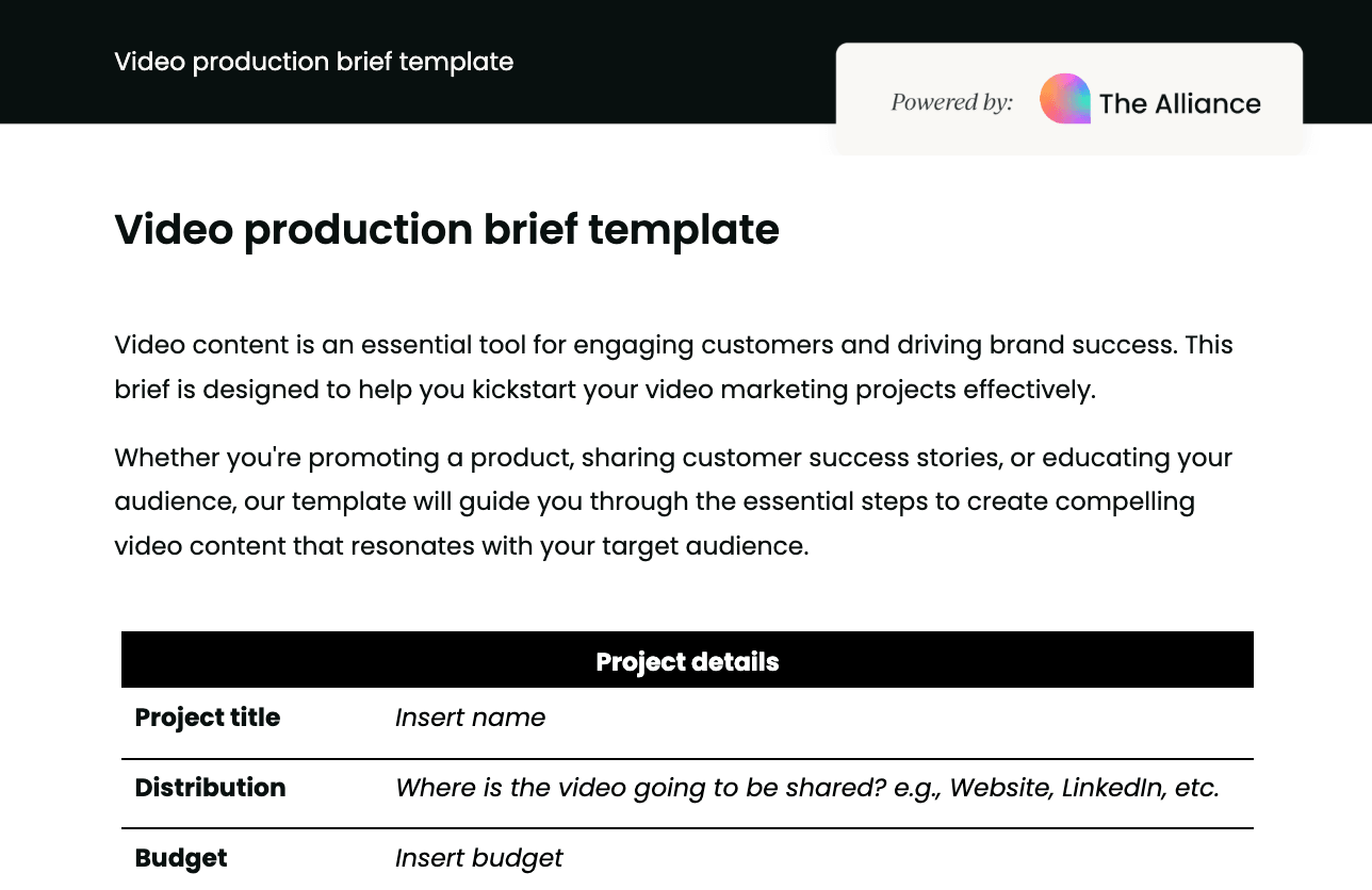 Video production brief template