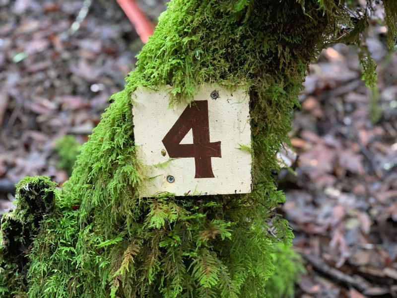 Make every interaction count: 4 key success strategies  for tailoring customer experience