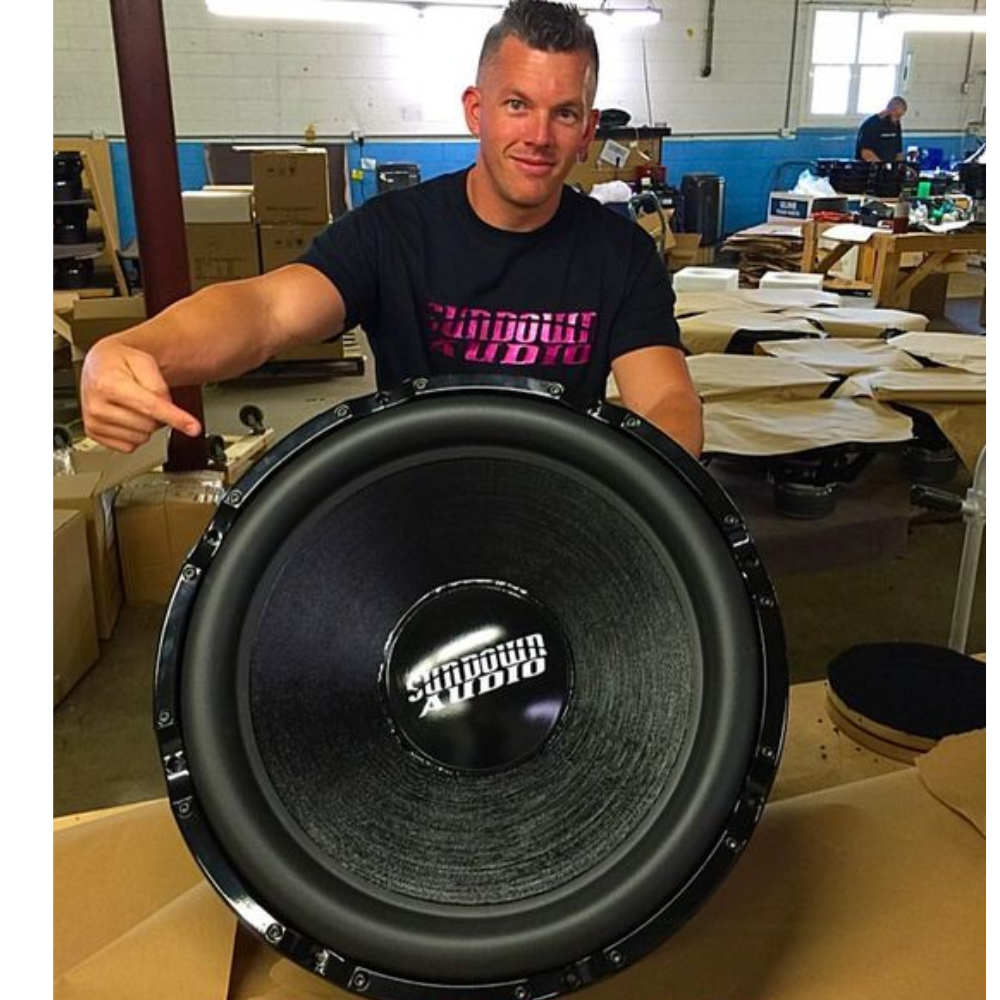 Sundown 15 inch subwoofer