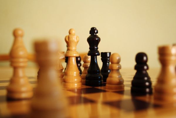 Play to Learn: Chess