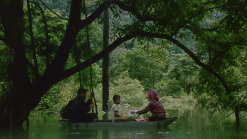 MIFF 2026: Hair, Paper, Water…