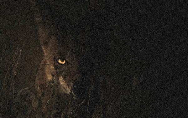 Better job hunt process