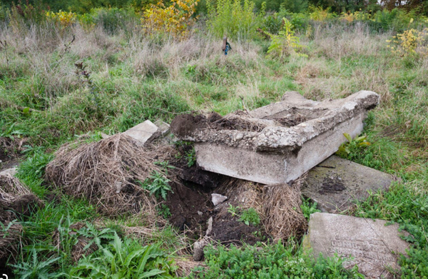 Opus nr. 641 - “Nimănuii lui Dumnezeu”, primul meu reportaj, scris la 19 ani, arată că România își tratează cinic de decenii cetățenii vulnerabili. Sunt mândru de mine că scriam așa la acea vârstă.