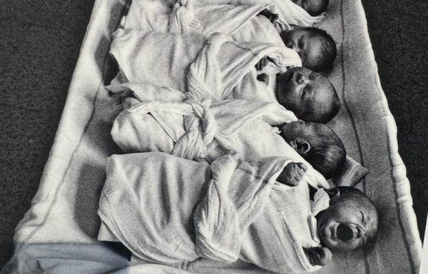 Opus nr. 657 - Duminica în care niște jeguri ne spun că istoria trebuie dărâmată cu târnăcopul. Nu e musai despre statuia lui Adrian Păunescu, ci despre tunsul la zero, cu forța, al sufletului nostru