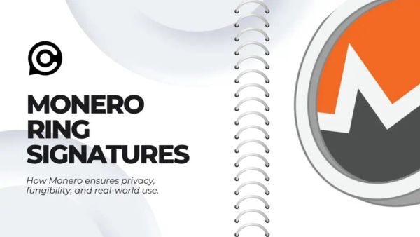 How Monero's Ring Signatures Provide True Transaction Privacy