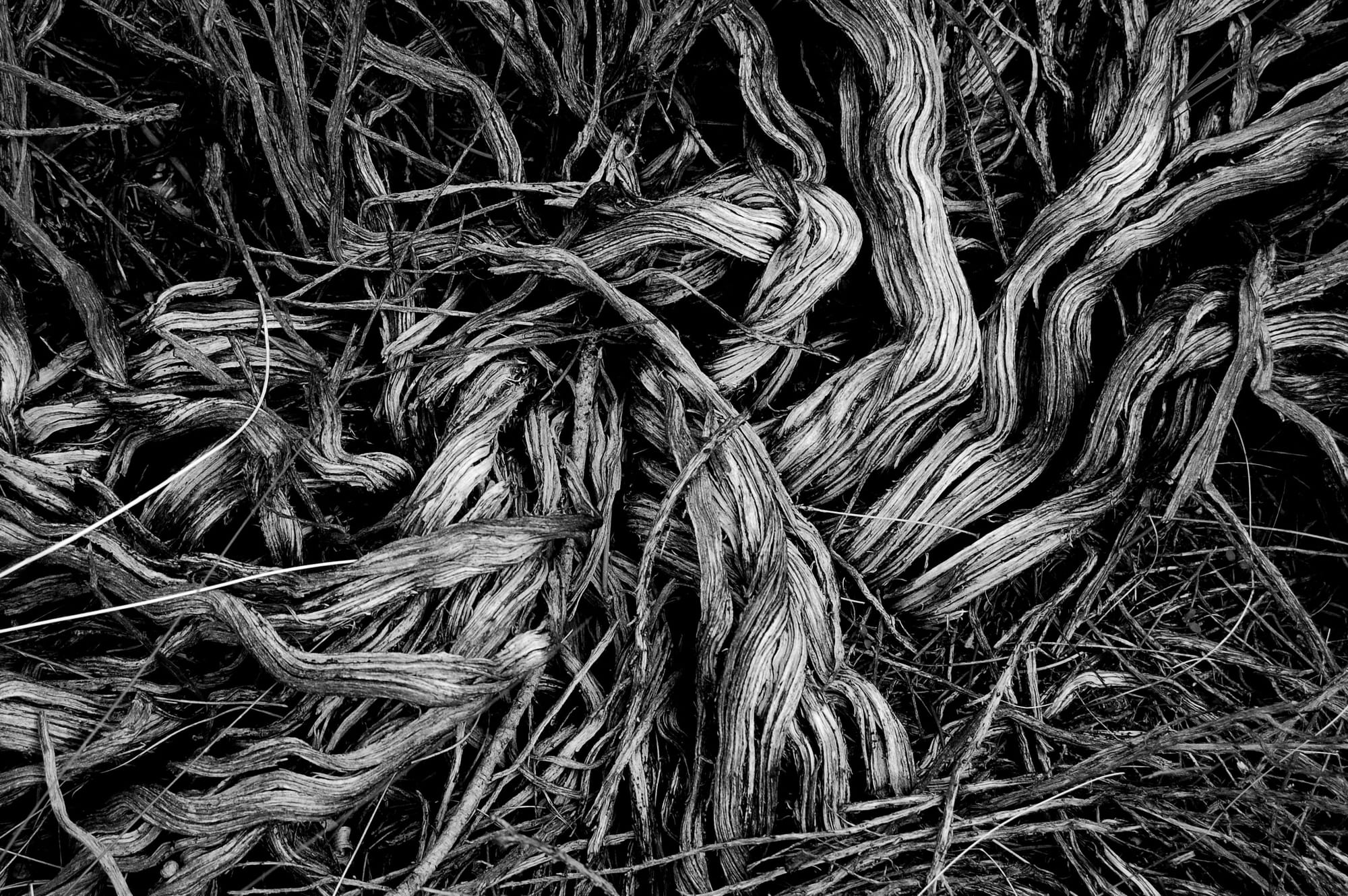 Photo by Matt Artz / Unsplash