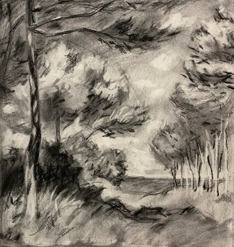 FAL-workshop-charcoal-landscape