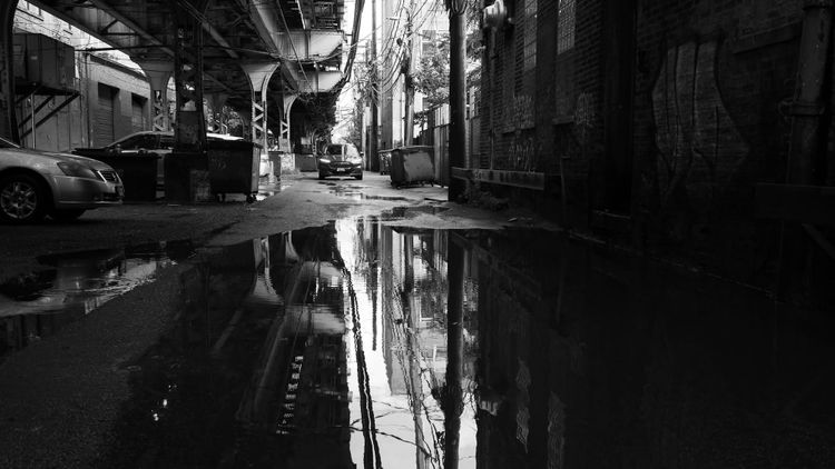 Falls Church Arts: 'Light & Dark: Contrast' Opens with March 1 Reception