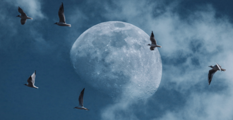 F.C. Bulletin: City Manager Proposes FY'26 City Budget; Letter-to-the-Editor; F.C. Arts