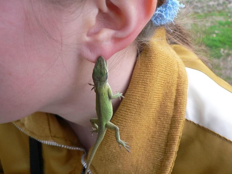 Old School: Nature’s Jewelry
