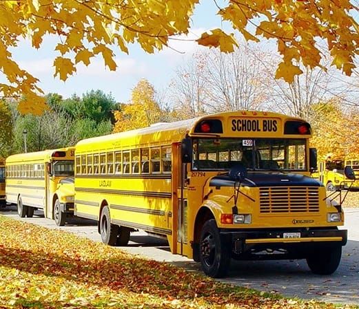 Old School: Fall-ing in Place