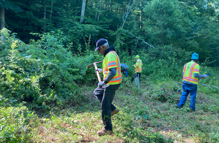 F.C. Bulletin: City's New Finance Director; Social Justice Committee Workshop; Tree Rescuers