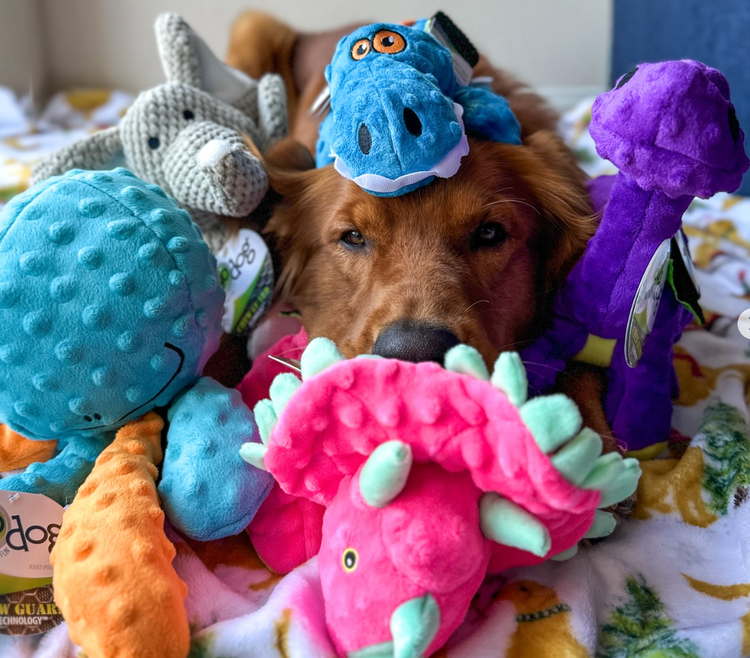 Old School: Mega-Retrieving