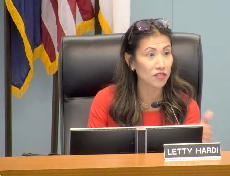 Virginia Village Redevelopment: City Council Approves RFP, Ensures Community Input