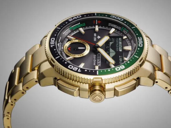 Citizen Promaster Wave Tracker