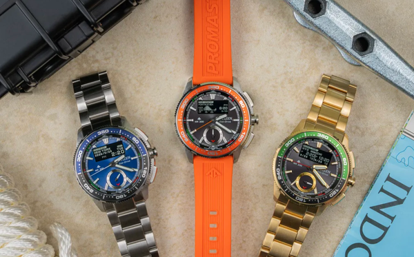 Exploring the Beach with the Citizen Promaster WaveTracker JV3000