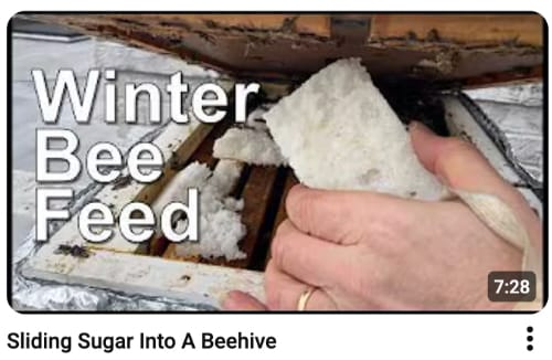 beehive with sugar feed being added