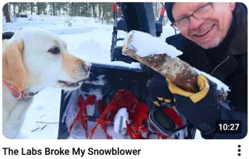 man with dog and snowblower