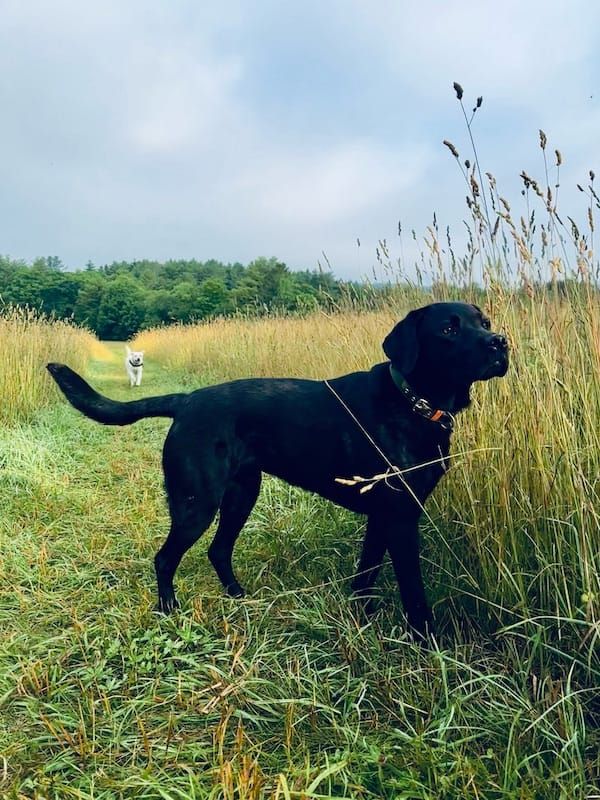 You Are Using Too Much Soap - Cool Stuff