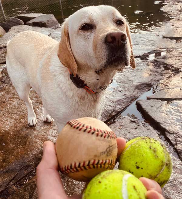 Need Your Help With The Last Step