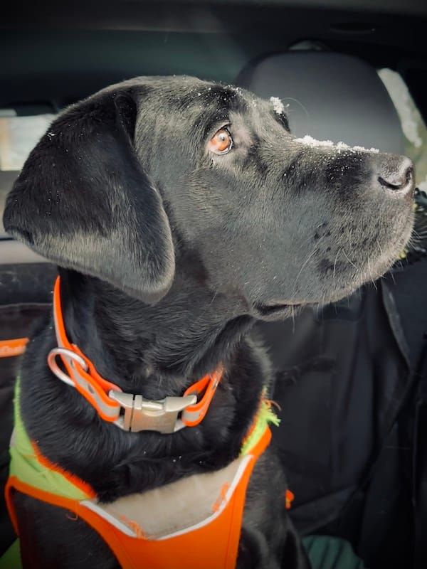 I Made A Giant Magnetic Chalkboard