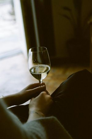The Hidden Connection Between Wine, Sex, and Why You Feel Numb at Midlife