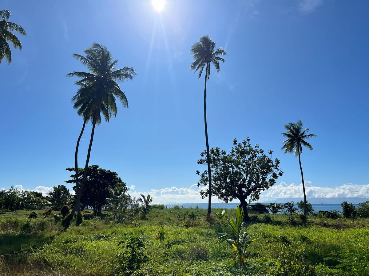 Buno Levu - Sweating a lot