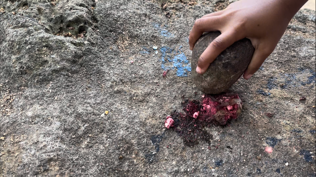 Tavola - Fijian Almond