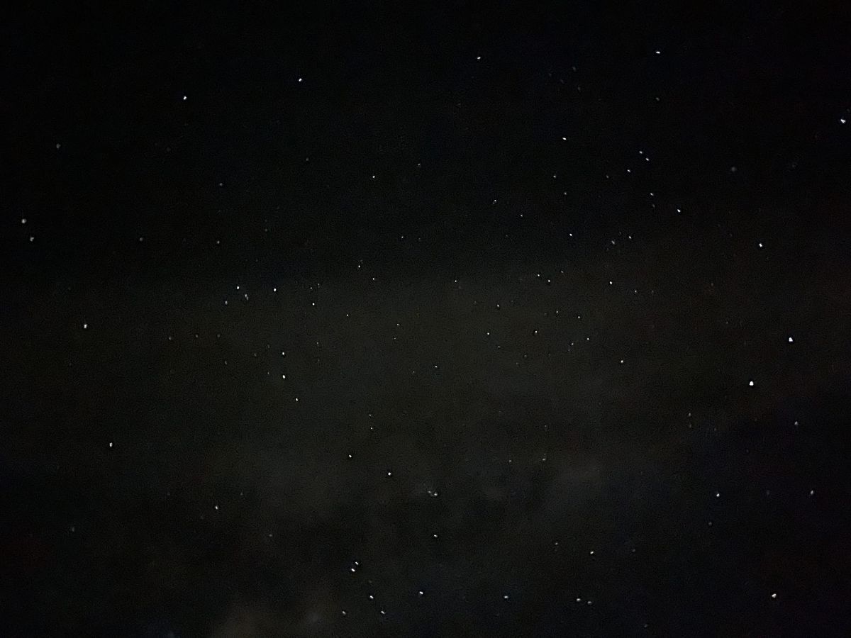 Kalokalo - Star