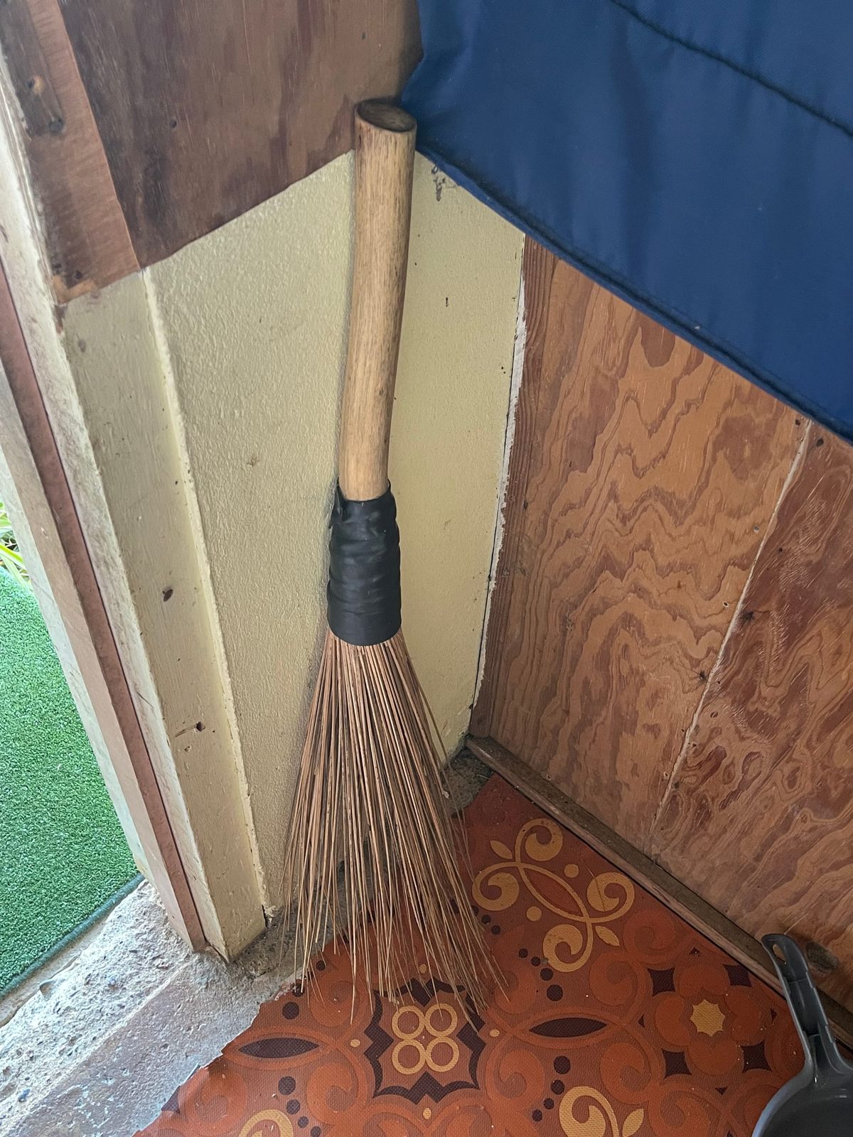 Sasa - Broom