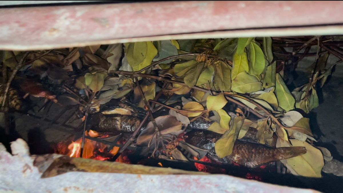 Ika Vesa - Smoked Fish