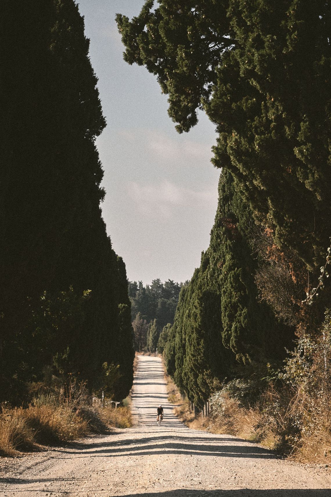 Mike · Tuscany, Italy · October 2023 · © Philipp Doms