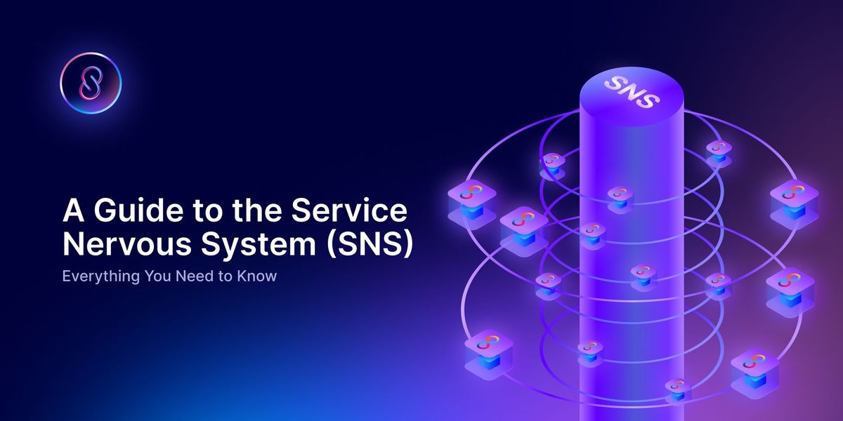 A Guide to the Service  Nervous System (SNS) on the Internet Computer