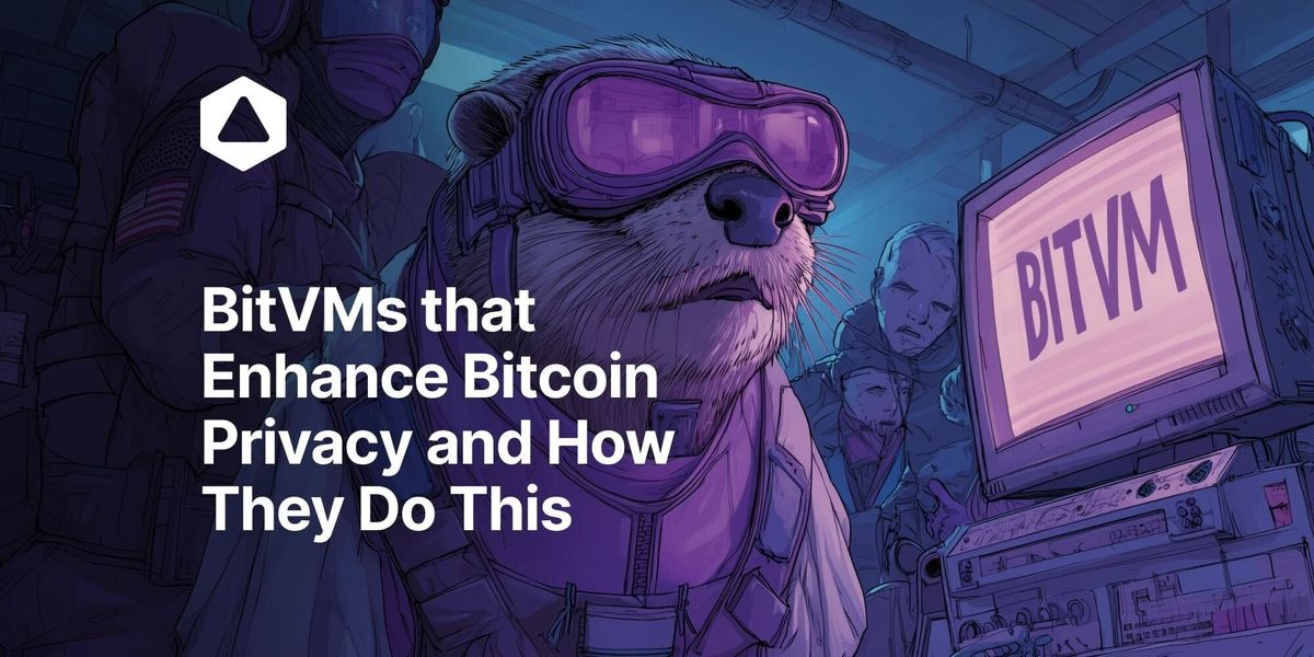 BitVMs that Enhance Bitcoin Privacy and How They Do This