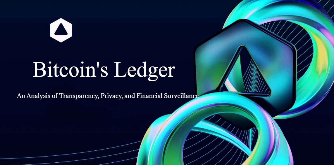 Bitcoin's Ledger: An Analysis of Transparency, Privacy, and Financial Surveillance
