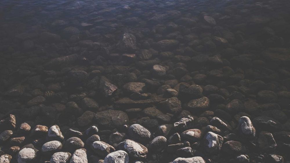 For One Hour, Bangkok Pretended It Might Actually Switch Off