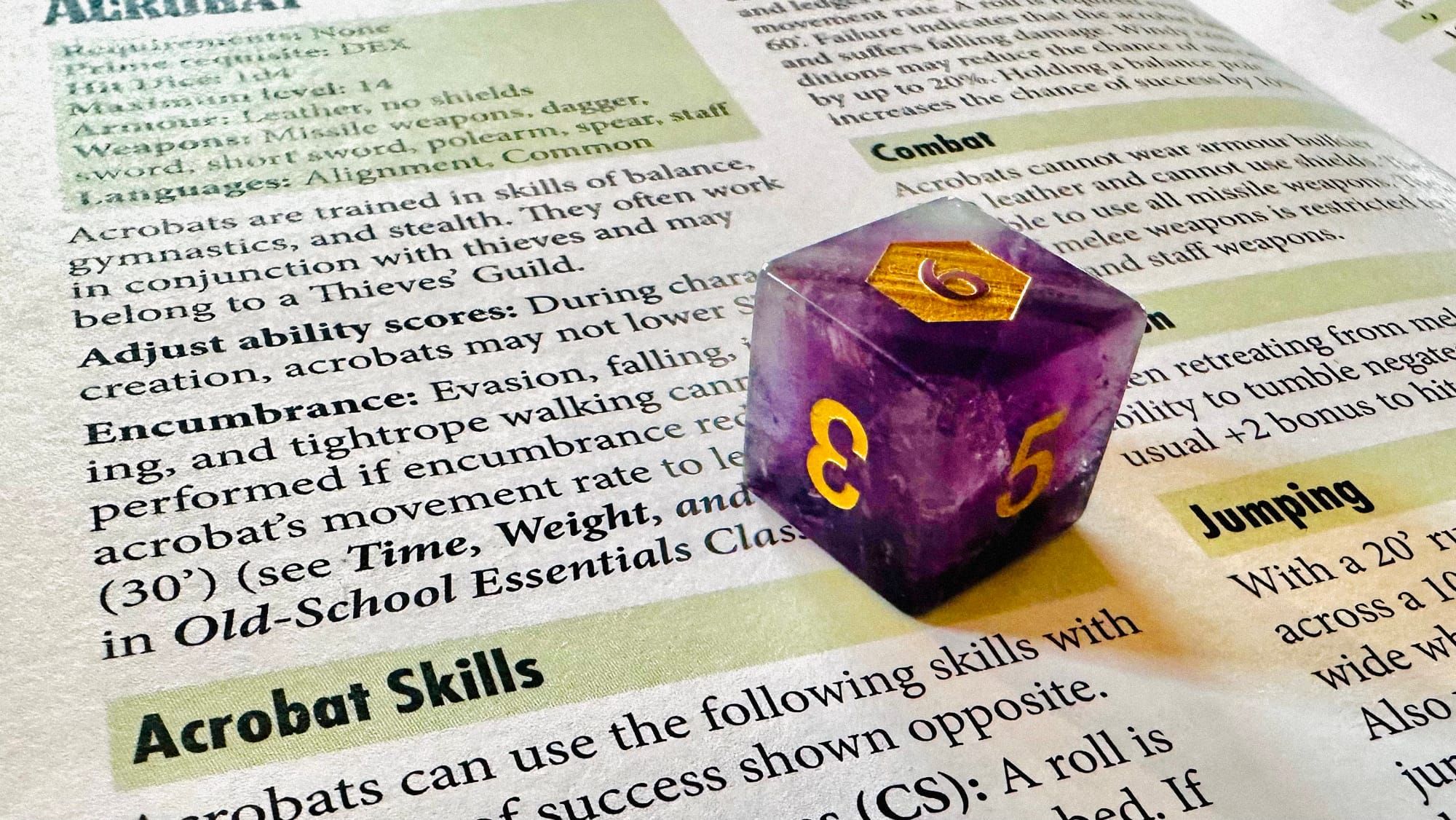 🎲 d6 Skills for OSE Classes